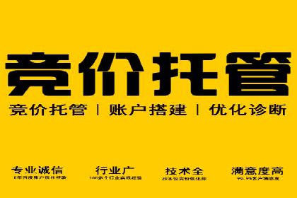 SEM优化实战：案例分析与优化建议
